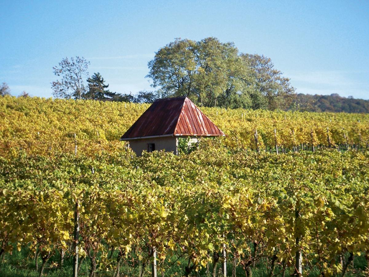 Hotel-Gasthof Rotes Ross Markt Einersheim 외부 사진